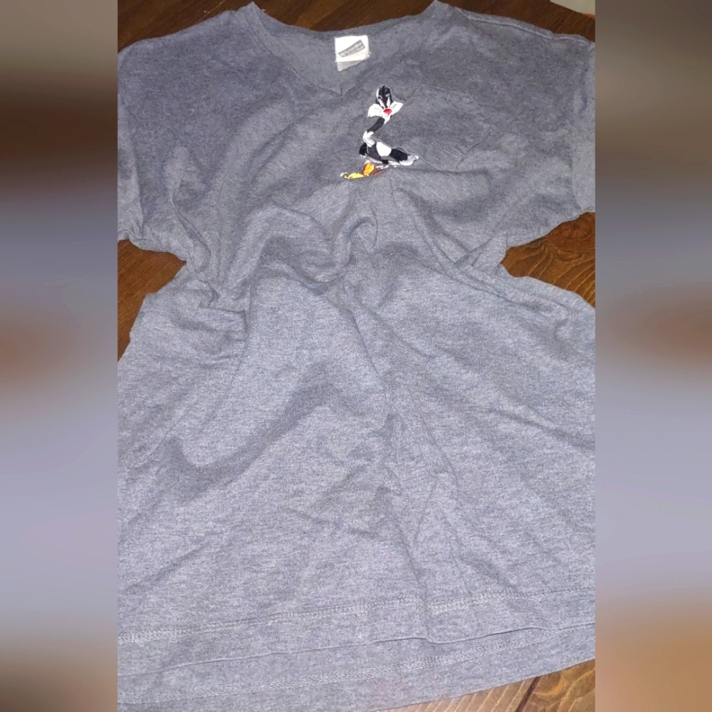 Warner Bros Gray T-Shirt with Cartoon Embroidery